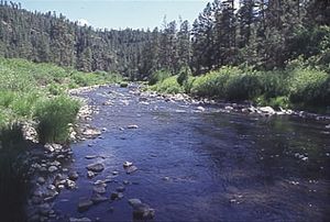 BlackRiver01.jpg