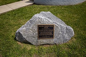 Boulder dedicated to Young (7d403e83-93c8-4753-8bf5-4cd63630a4c7)