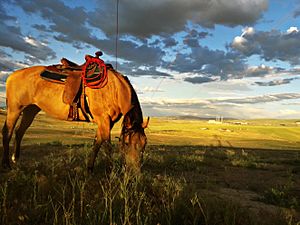 Round Bottom Area in Moffat County, Colorado