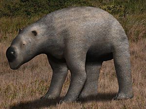 Diprotodon optatum