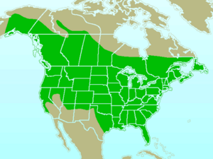 Downy Woodpecker-rangemap.gif