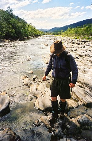 Eastern freshwater cod habitat