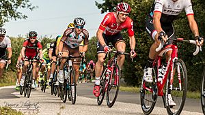 Greipel Cyclassics