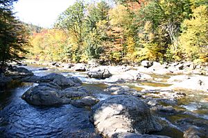 Haystacks1 Loyalsock Creek Sullivan Co PA