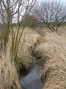 Highgate Burn near the loch