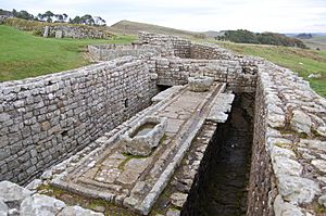 Housesteads latrines