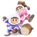 Ice Climbers SSBU