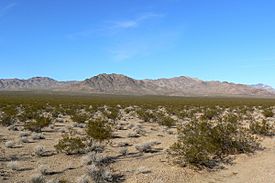 Ivanpah Mountains 1.jpg