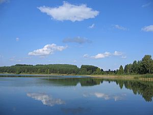 Jezioro Zbik Kos