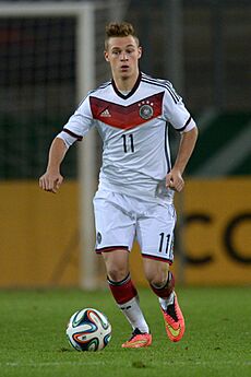 Kimmich2014