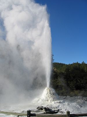 Lady Knox Geyser