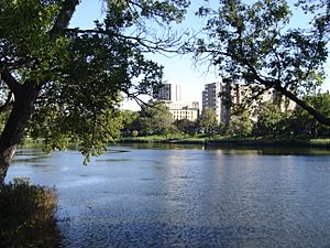 Loring park.jpg