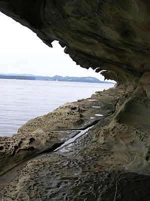 Malaspina Galleries