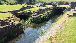 Maltby Dike at Roche Abbey