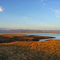 Mangla Lake Bank