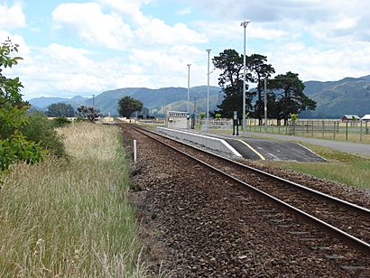 Matarawa railway station 03.JPG