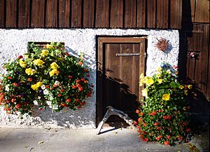 Pflach - Stalltüre eines Bauernhauses in Unterletzen.jpg