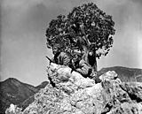 Private William Major and Private Andrew Paxson patrol the southern border from a peak of the Huachuca Mountains