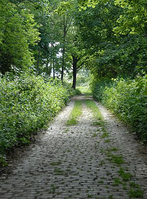 Railway Fields