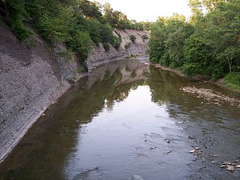 Rocky River Lakewood Ohio.jpg