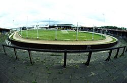 Shawfield 2