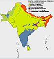 South Asian Language Families