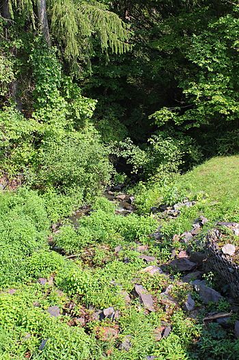 Sutton Creek below Lake Louise.jpg