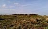 Tumulus on Withypool Hill, Devon.jpg