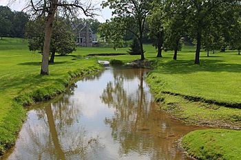 Turtle Creek looking downstream.JPG