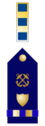 US CG CW2 insignia.svg