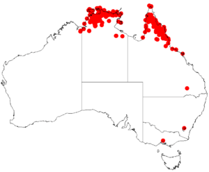 Acacia auriculiformisDistMap87.png