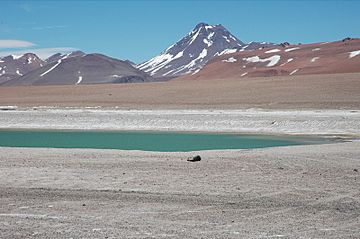 Acamarachi Volcano.jpg