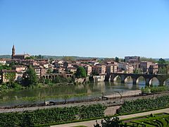 Albi castelviel pont vieux