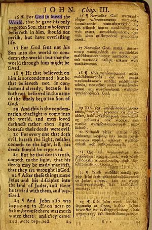 Algonquin Bible 3 16