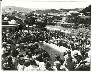 An elephant at Wellington Zoo having a bath, 1975 (29826462405)