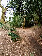 Bluebottle Grove, Colchester - geograph.org.uk - 142655.jpg