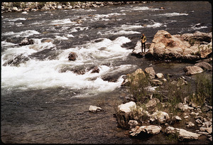 CALIFORNIA--KINGS RIVER, NEAR CENTREVILLE - NARA - 542522