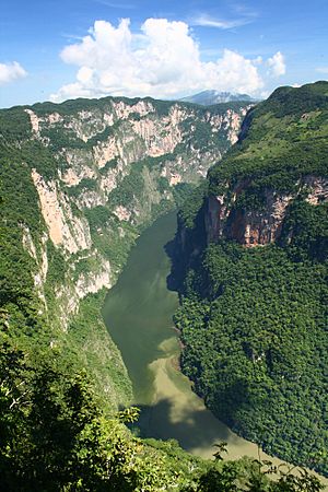 Canyon sumidero desde arriba