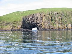 Cave on Garbh Eilean, Shiant Isles - geograph.org.uk - 85271