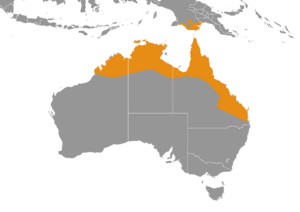 Chlamydosaurus kingii distribution map.png