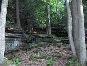 Cuyahoga Valley National Park