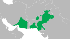 Dendrocopos assimilis distribution map.png