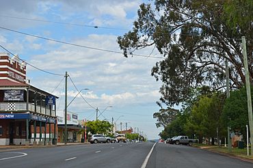 Dunedoo Bolaro Street 002.JPG