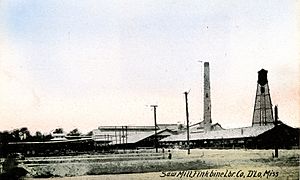 Finkbine Sawmill D'Lo