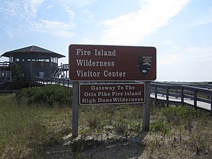 FireIslandWilderness