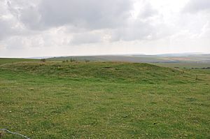 Firle LongBarrow (2)