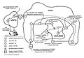 First Internet Demonstration, 1977