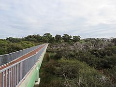 Footbridge north of Lake Coogee, June 2021 02