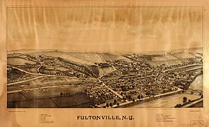 Fultonville, N.Y. LOC 2007625475