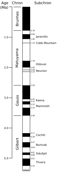 Geomagnetic polarity late Cenozoic